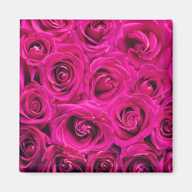 Imã Pink Roses (Love and Romance) (Frente)