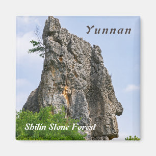Imã Pinnáculos Shilin Stone Forest - Yunnan, China,