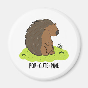 Imã Pino Engraçado Porcupine Porcupine