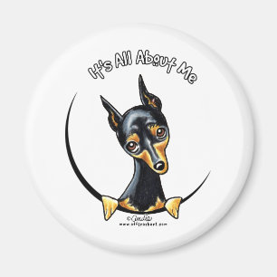 Imã Pinscher diminuto IAAM