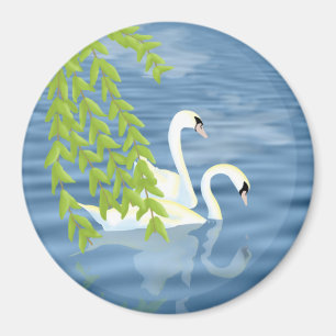 Imã Pintando o par de Cisnes Azuis e Verdes no lago