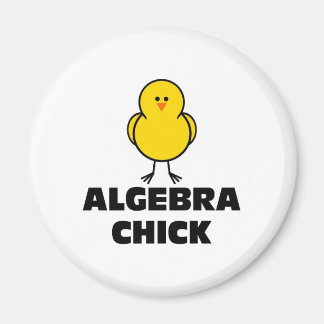 Imã Pintinho de álgebra