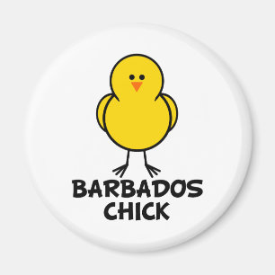 Imã Pintinho de Barbados