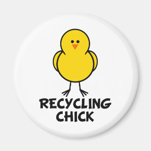 Imã Pintinho do reciclagem