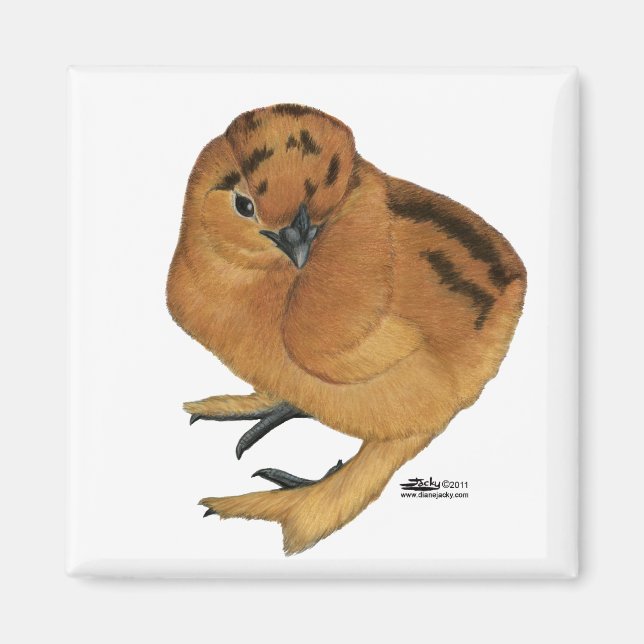 Imã Pintinho Vermelho Silkie (Frente)