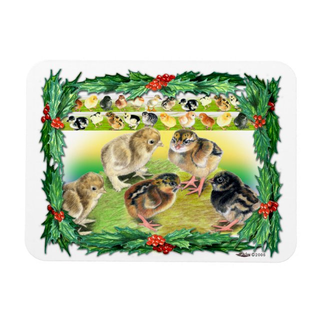 Ímã Pintinhos de Natal (Horizontal)