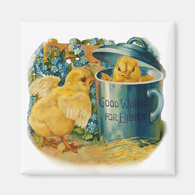 Imã pintinhos de páscoa em reprodução (Frente)