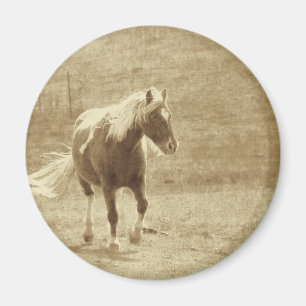 Imã Pinto Pony Sepia