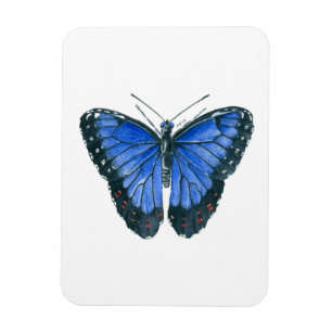 Ímã Pintor aquoso da borboleta Azul Morpho