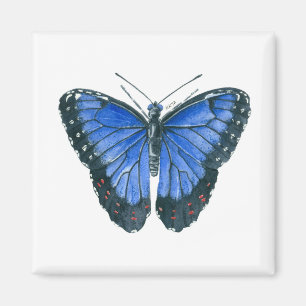 Imã Pintor aquoso da borboleta Azul Morpho