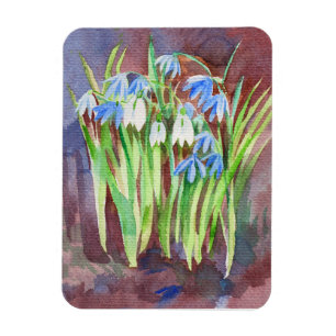 Ímã Pintor de primavera azul-de-lula siberiana