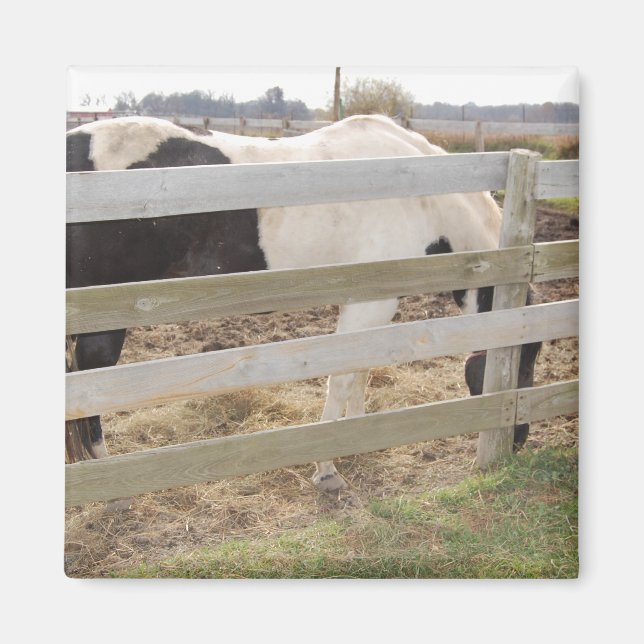 Imã Pintor/Pinto (Frente)