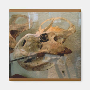 Imã Pintura a óleo do crânio de Dino