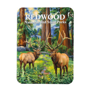 Ímã Pintura a Óleo Floresta de Redwood Elk Vintage Cal
