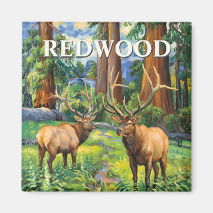 Imã Pintura a Óleo Vintage Elk Redwood Floresta Califó