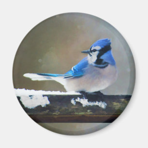 Imã Pintura Blue Jay - Arte Original para Pássaros