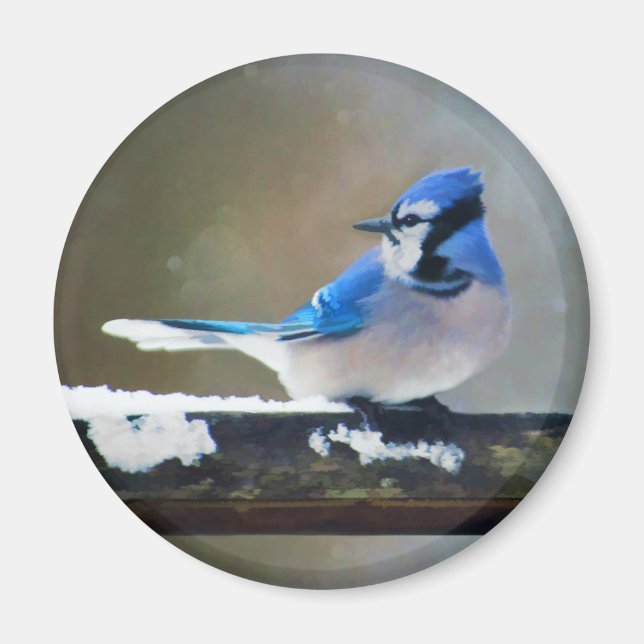 Imã Pintura Blue Jay - Arte Original para Pássaros (Frente)