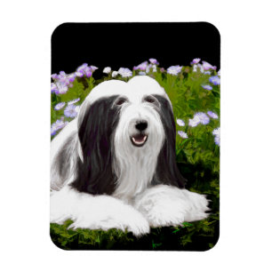 Ímã Pintura Collie com Manteiga - Arte Cachorra Origin