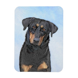 Ímã Pintura de Beauceron - Arte de Cão Original Bonit