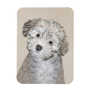 Ímã Pintura De Cachorro Havanês - Arte Cachorra Origi