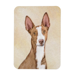 Ímã Pintura de Cachorro Ibizan - Arte Cachorra Origina