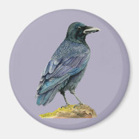 Pintura de Crow Watercolor