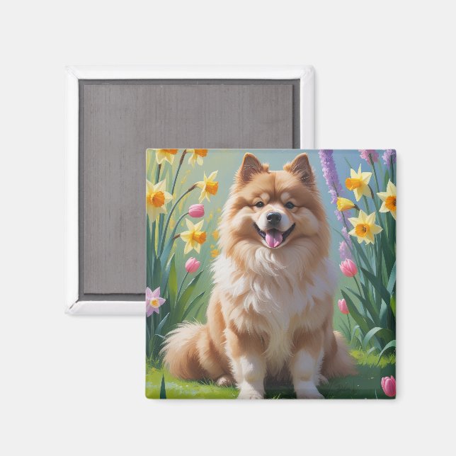 Imã Pintura de Flores de Primavera do Cão Keeshond  (Front/Back)