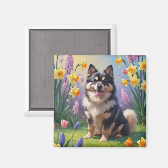 Imã Pintura de Flores de Primavera do Cão Lapphund Fin (Front/Back)