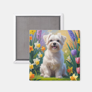 Imã Pintura de Flores de Primavera do Cão Maltês