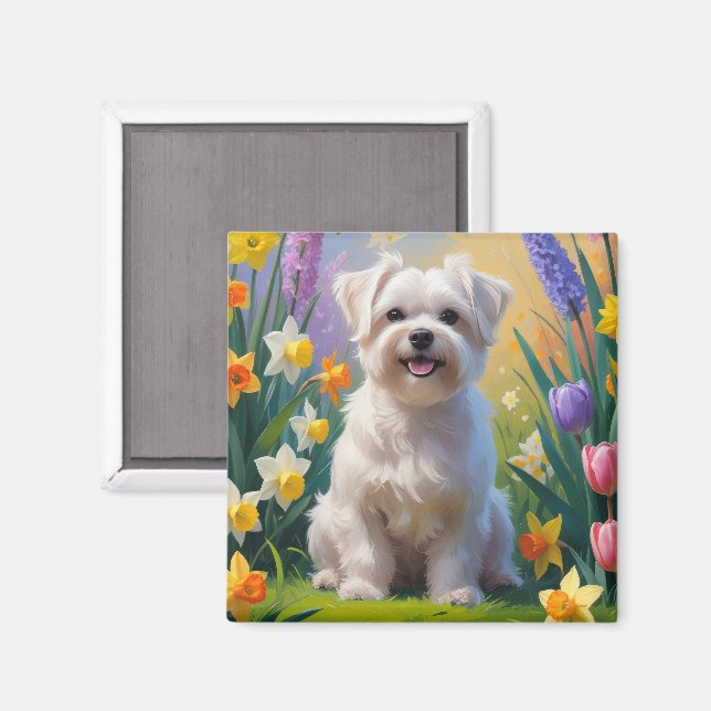 Imã Pintura de Flores de Primavera do Cão Maltês (Front/Back)
