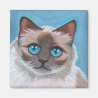 Imã Pintura de Gata de Gato de Olho Azul