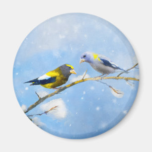 Imã Pintura de Grosbeak Evening - Arte de Cachorro Ori