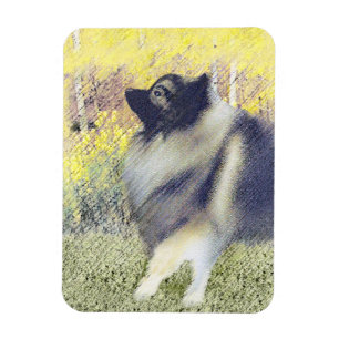 Ímã Pintura de Keeshond Aspen - Arte de Cachorro Origi