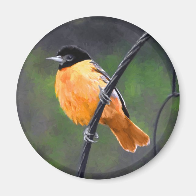 Imã Pintura de Oriole - Arte Original para Pássaros (Frente)