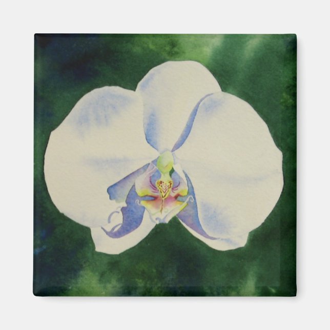 Imã Pintura de orquídea branca e elegante (Frente)