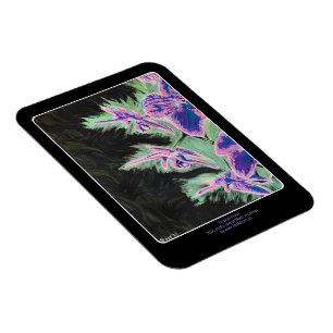 Ímã Pintura de 'Orquídea Tropical' em um