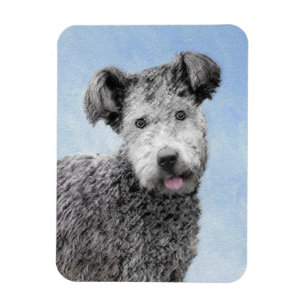 Ímã Pintura De Pumi - Arte De Cão Original Bonita
