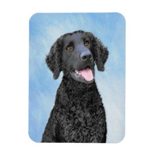Ímã Pintura De Retriever Revestida Curly - Arte De Cã