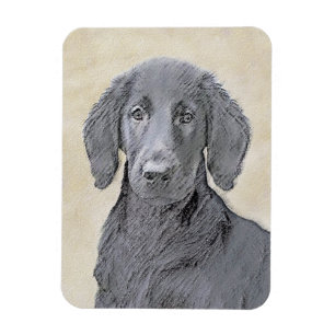 Ímã Pintura De Retriever Revestida Plana - Arte De Cã