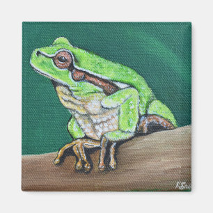 Imã Pintura de Sapo de Árvore
