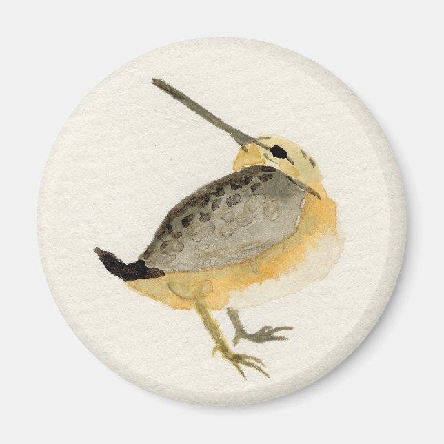 Imã Pintura de Timberdoodle da aguarela (Frente)