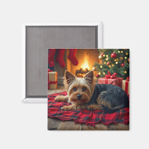 Imã Pintura de Yorkshire Terrier numa Aconchegante Noi