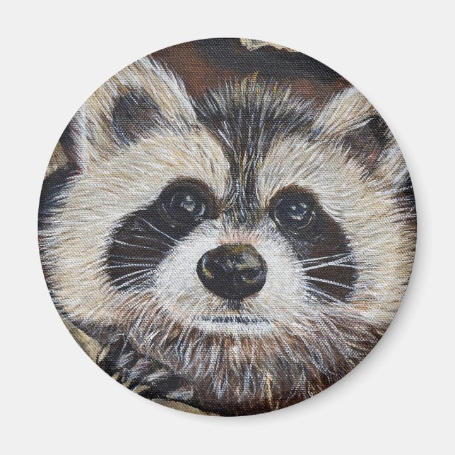 Imã Pintura do Raccoon (Frente)