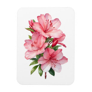 Ímã Pintura em aquarela de flor de azálea