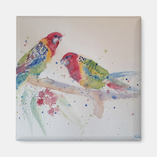 Imã Pintura em Aquarela de Papagaio Rosella Vermelho