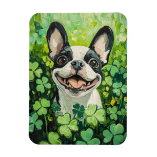 Ímã Pintura em campo de trevo de Boston Terrier
