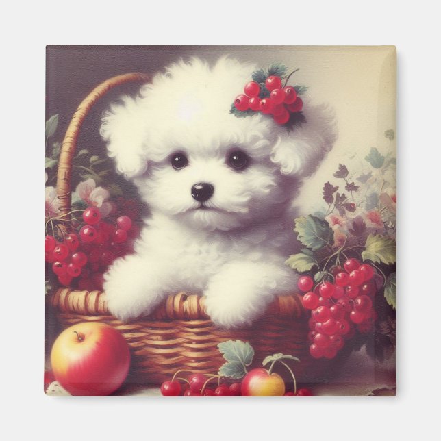 Imã Pintura em Cute Vintage Bichon Frisé (Frente)