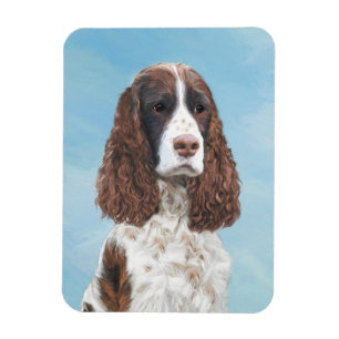 Ímã Pintura em inglês Springer Spaniel original