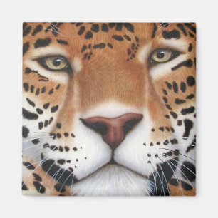 Imã Pintura em Jaguar