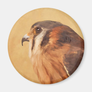 Imã Pintura em Kestrel Americano - Arte de Pássaro Or